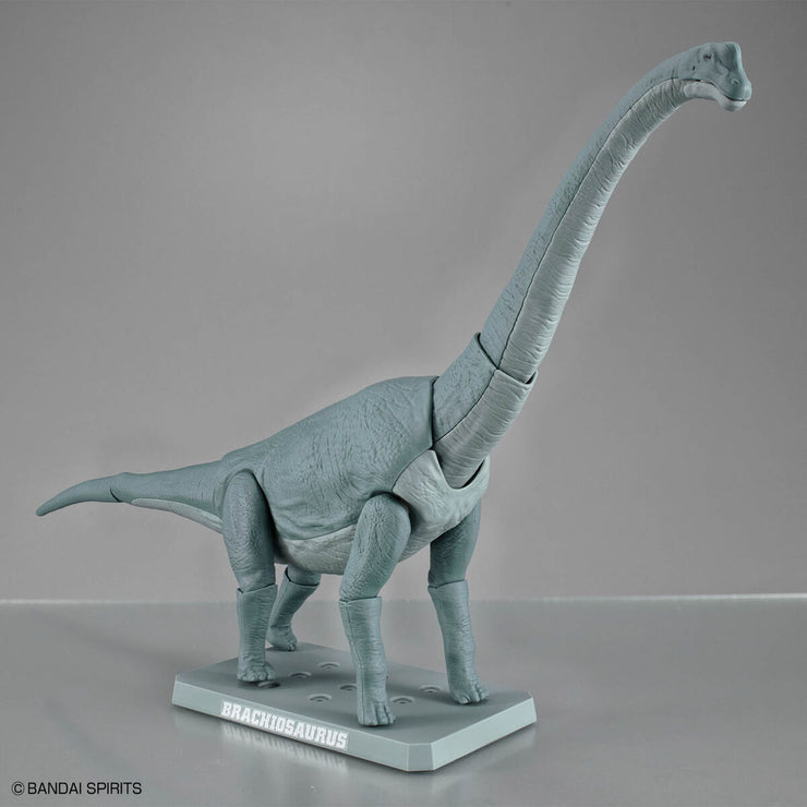 Plannosaurus Brachiosaurus