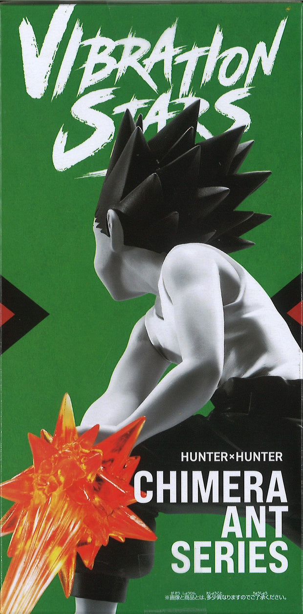 Hunter X Hunter Vibrations Stars Gon II