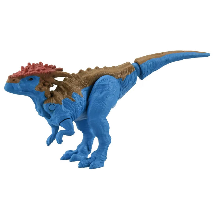 Ania AS-24 Dracorex