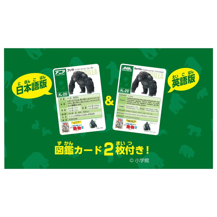 Ania AL-29 Gorilla (Eastern Gorilla)