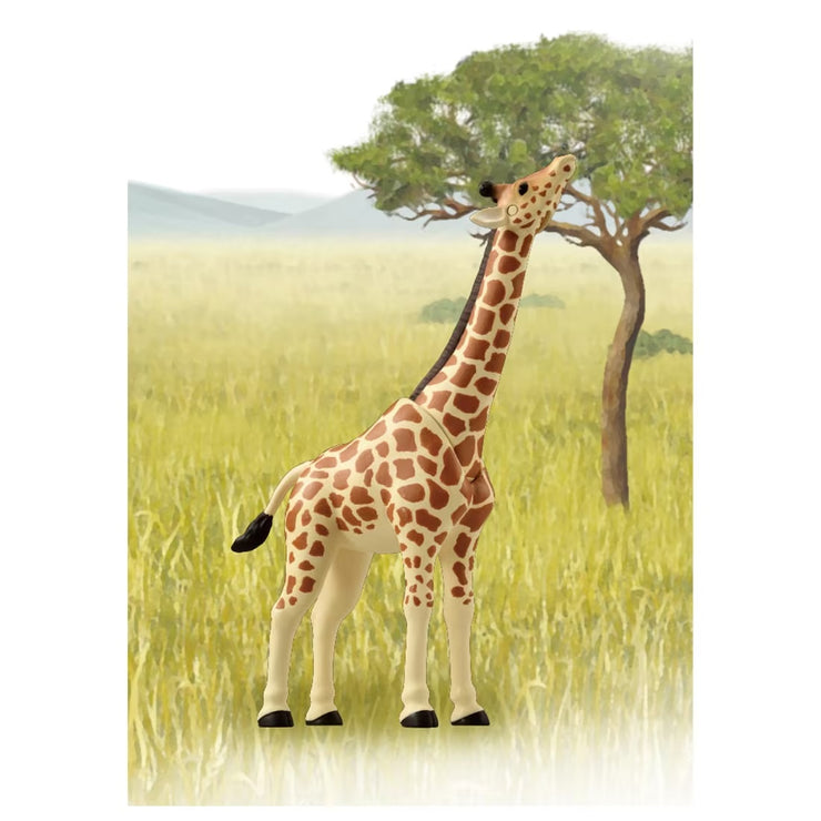 Ania AL-30 Giraff (Reticulated Giraffe)