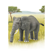 Ania AL-26 African Elephant