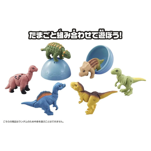 Ania Dinosaur Capsule [Random Design]