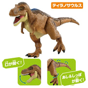 Ania AA-03 Dinosaurs Set