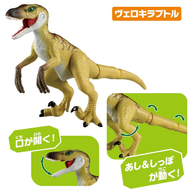 Ania AA-03 Dinosaurs Set