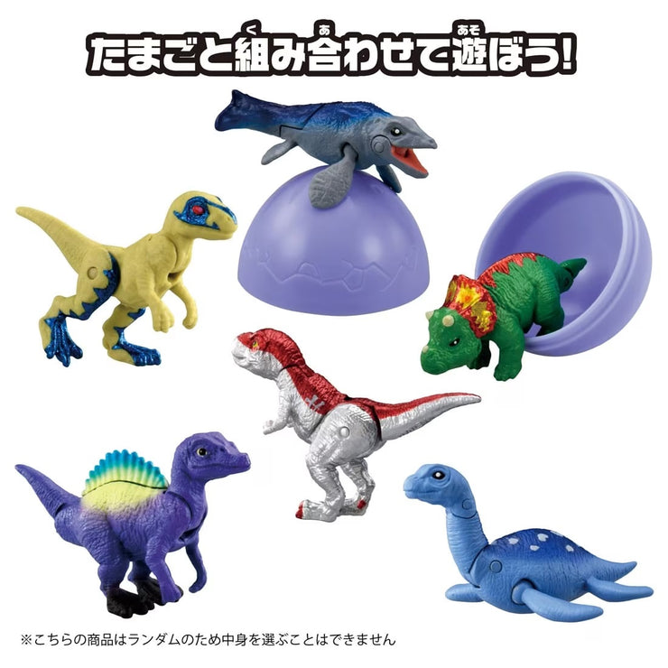 Ania Dinosaurs Capsule Collection Part 2