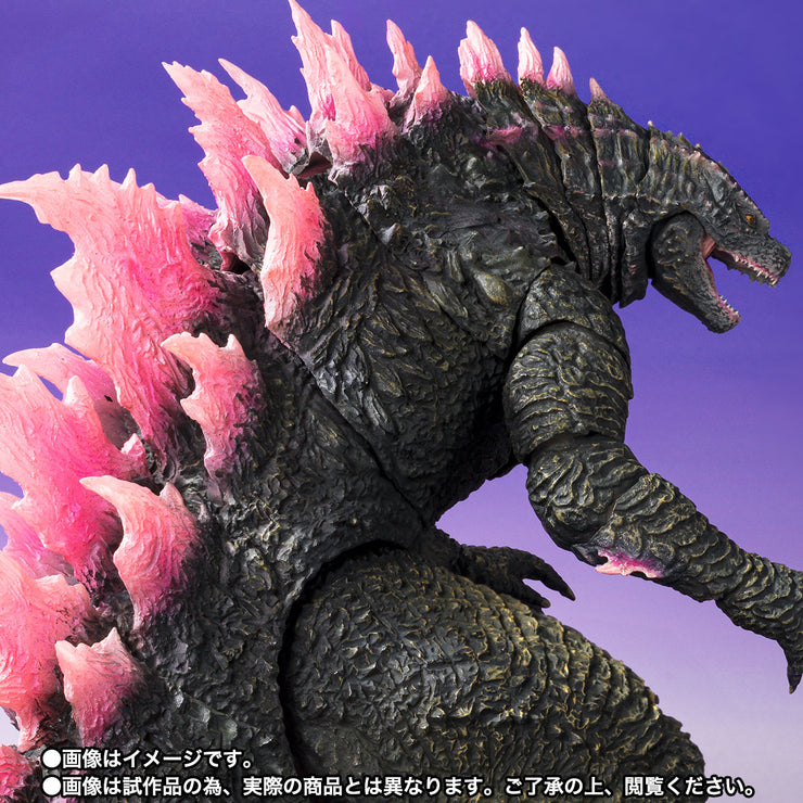 SHM Godzilla Evolved 2024