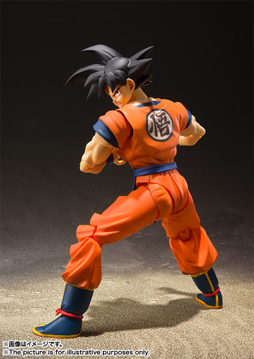 SHF Gokou A Saiyan Raised On Earth