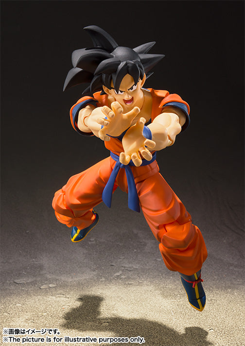 SHF Gokou A Saiyan Raised On Earth