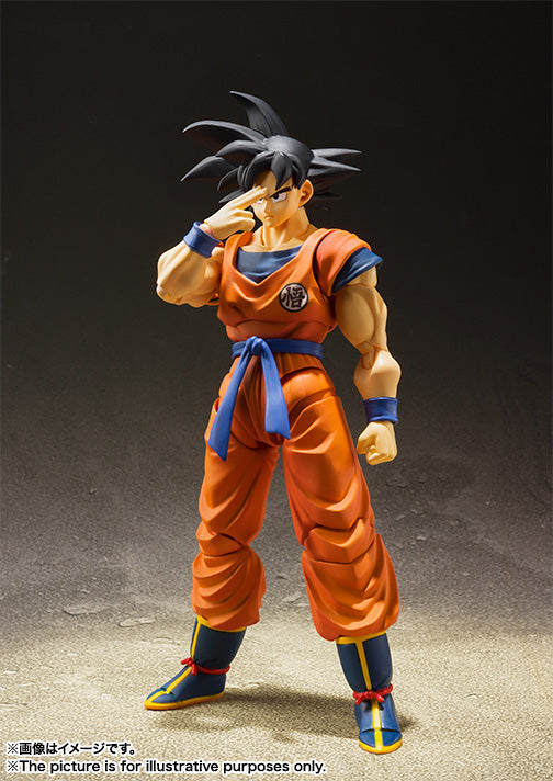 SHF Gokou A Saiyan Raised On Earth