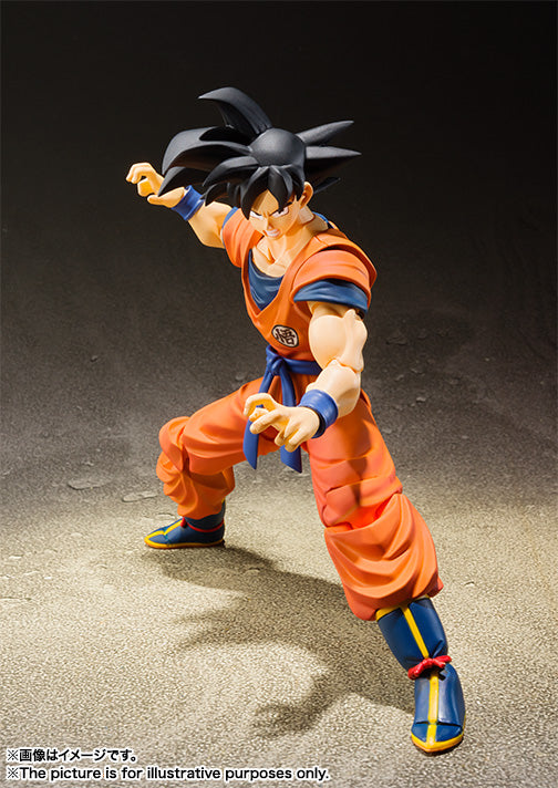 SHF Gokou A Saiyan Raised On Earth