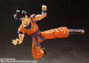 SHF Gokou A Saiyan Raised On Earth